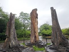 -金钉子远古世界景区