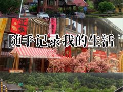 -龙里油画大草原旅游区
