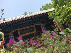 -白家大院·王府宫廷菜(苏州街店)