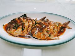海昌鱼-金德酒楼(沧口路店)
