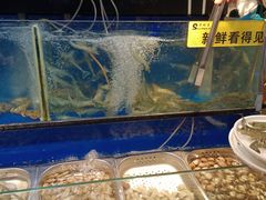 -苏格里岛自助海鲜烤肉(青秀万达店)