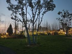 -五甲塘生态湿地公园