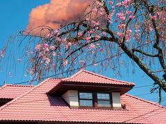 -醉美长安·陕菜(万和城店)