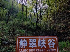 -雾灵西峰