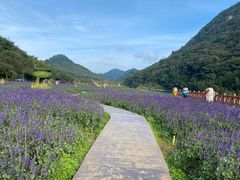 -广州市石门国家森林公园