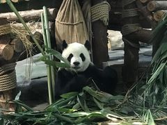 -泉州海丝野生动物世界