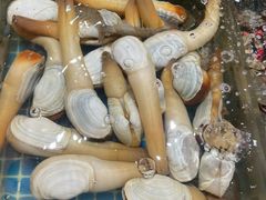 -连鹭海鲜·海肠捞饭·海胆饭(星海店)