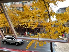-红豆园(文林街店)