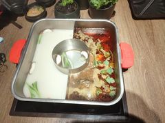 -新辣道鱼火锅(龙旗广场店)