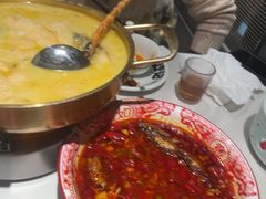 -欧记大排档·景德菜(上海首店)