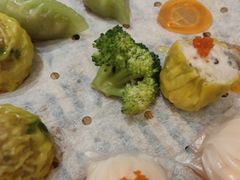 -海王老记