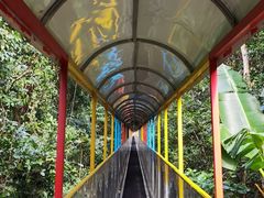 -七仙岭温泉国家森林公园