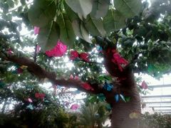 -兰陵国家农业公园