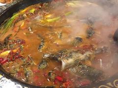 -三道苗苗鱼·美蛙黄辣丁(八里店)