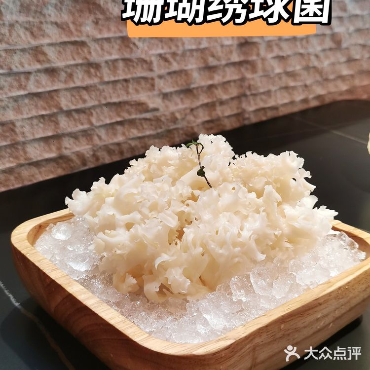 秋冬养生必吃|椰椰倾城|一见倾城，一吃倾心