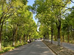 -上海海湾国家森林公园