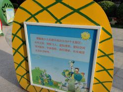 -酷酷兔少儿拓展天地
