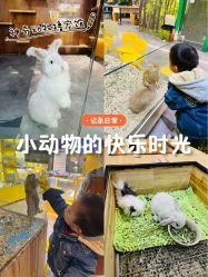-神奇动物撸宠馆·羊驼·小浣熊·异宠(豫园店)