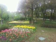 android_upload_pic-上海鲜花港