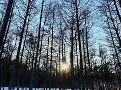 -欧亚之窗公园