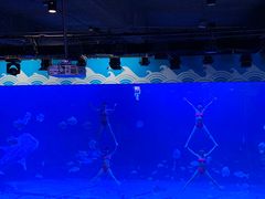 -烟台海昌鲸鲨海洋公园