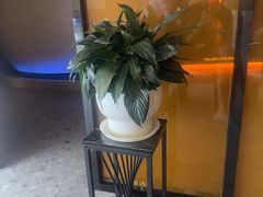 -碧涛阁水世界酒店·洗浴·自助(万家丽路店)