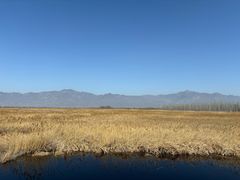 -野鸭湖国家湿地公园