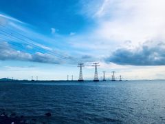 -宝安西湾红树林湿地公园