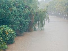 -上海游泳馆(地铁站)