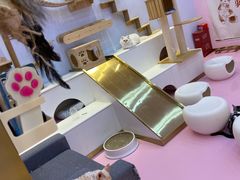 -爪爪喵星球·猫舍(前海卓越店)