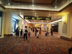 -澳门威尼斯人综合度假区