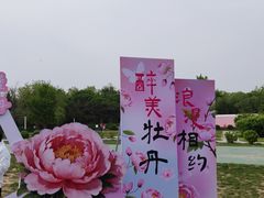 -太阳宫公园