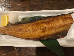 -鰓呼吸 石垣島 美崎町店