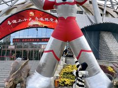 -龙塔