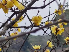 -南京珍珠泉风景区