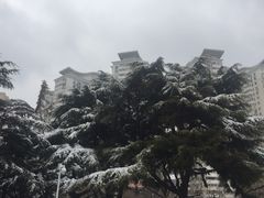 -贮水山儿童公园