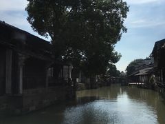 -乌镇东栅景区