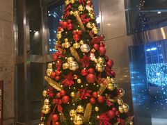 -上海锦江汤臣洲际大酒店壹阶层