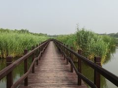 -西青郊野公园