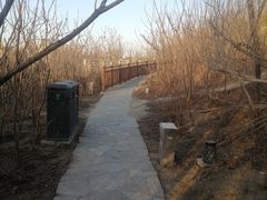 -南翠屏公园