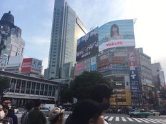 -涩谷区