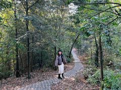 -三水森林公园