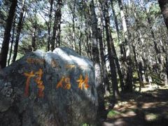 -康定跑马山风景区