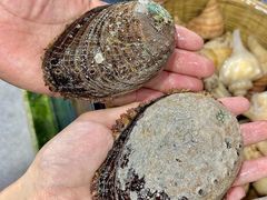 -坛南湾阿强农家乐.海鲜大排档老字号(福州地标美食店)