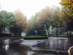 -南京奥林匹克体育中心-体育馆