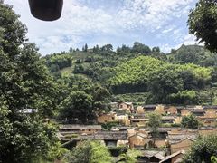 -杨家堂村