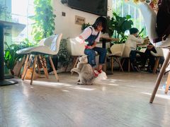 -小时光咖啡馆(北锣鼓巷店)