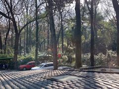 -一江春水·杭帮臻宴(三台山店)