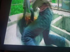 -龍栖足道(瑶海闽商国贸店)