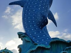 -珠海长隆海洋王国